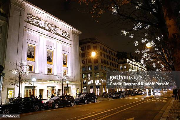 Illustration view of Montaigne Avenue after the Launche of Christmas Montaigne Avenue Illuminations during the 19th Edition of 'Les Sapins de Noel...