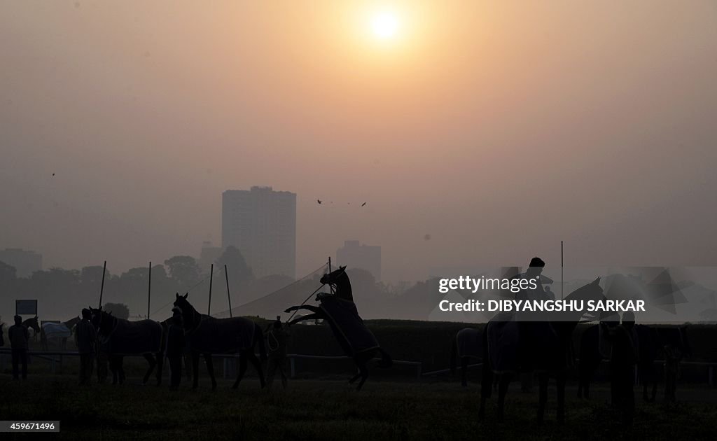 INDIA-WEATHER-FOG-HORSES