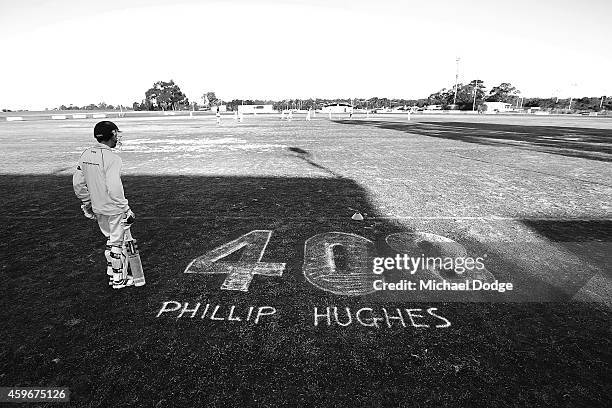 Angwarr 35 Langwarrin South Victoria Stock Photos, High-Res Pictures, and ...