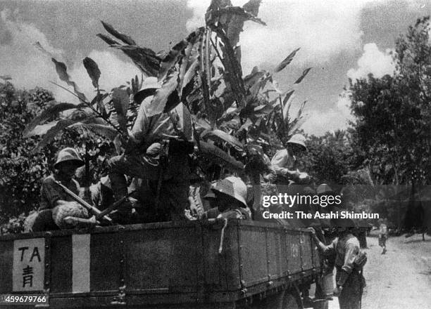 Imperial Japanese Army vehicles camouflaging with sugar canes march on during the Dutch Esat Indies campaign on March 6, 1942 in Java, Indonesia.