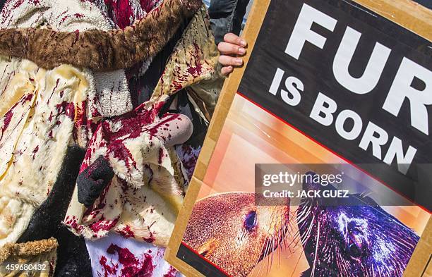 Israeli anti-fur activists cover fake fur in red marks to illustrate blood and hold banners as they demonstrate during the Worldwide Fur Free Friday...
