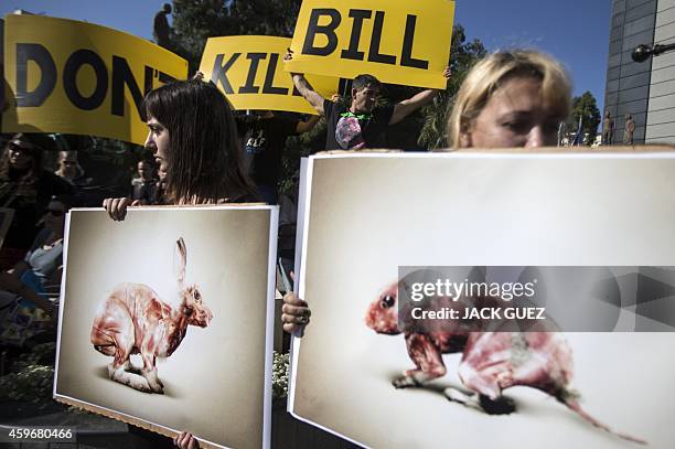 Israeli anti-fur activists hold banners as they demonstrate during the Worldwide Fur Free Friday initiated by the international Anti-Fur coalition to...