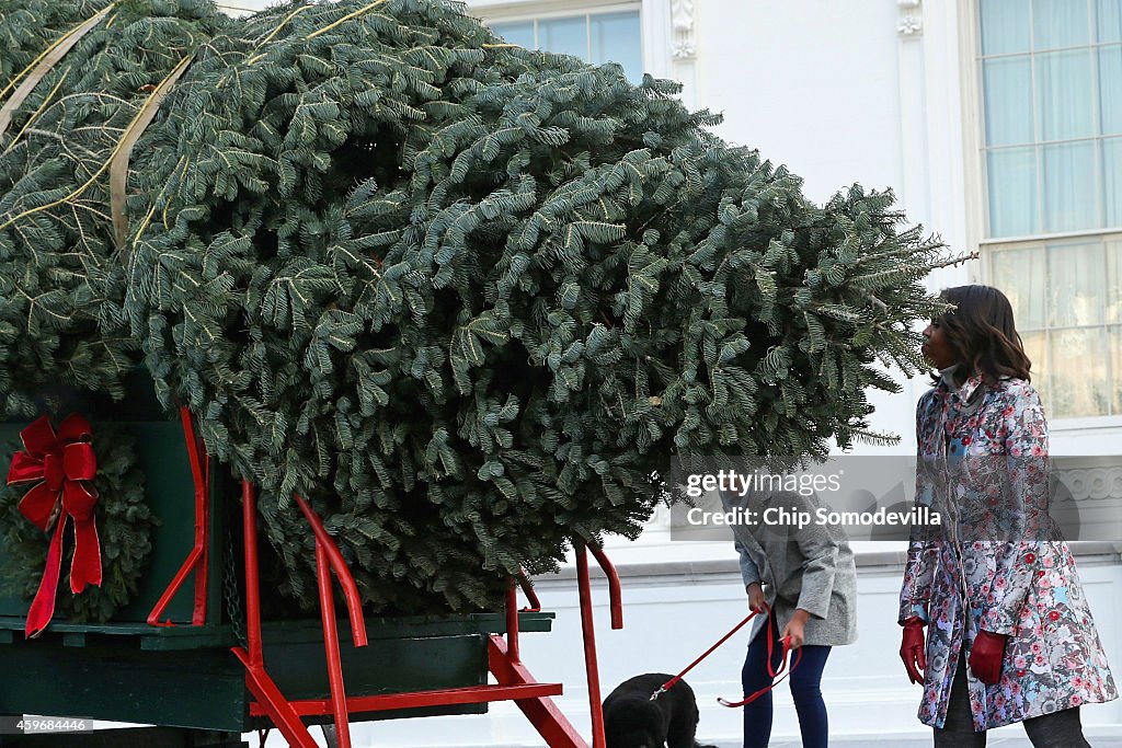 Official White House Christmas Tree Arrives