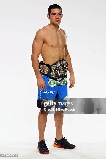 Middleweight Champion Chris Weidman poses for a post-fight portrait after defeating Anderson Silva by TKO after their middleweight championship bout...