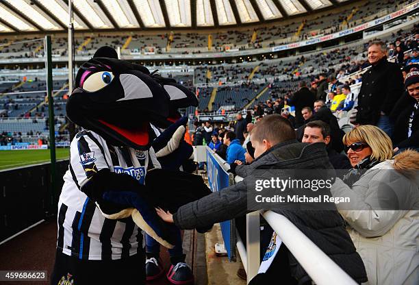 The Newcastle United mascots, Maggie and Monty magpie greet fans prior to the Barclays Premier League match between Newcastle United and Arsenal at...
