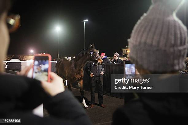 Members of the public take photos with their mobile phones as Lot Number 1103 waits by the parade ring with his stud hand at Tattersalls Auctioneers,...