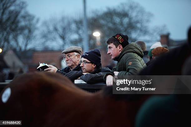 Potential bidders survey the lots on sale at Tattersalls Auctioneers, where four foals sired by the unbeaten champion racehorse Frankel were due to...