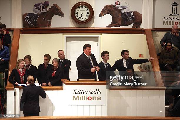 The auctioneers at Tattersalls try to encourage an unenthusiastic crowd to invest in Lot number 1113, a foal that went on sale on November 28, 2014...