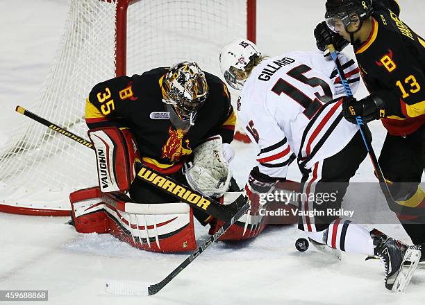 Connor Hicks of the Belleville Bulls makes a save on Matt Gillard of the Niagara IceDogs during an OHL game between the Belleville Bulls and the...