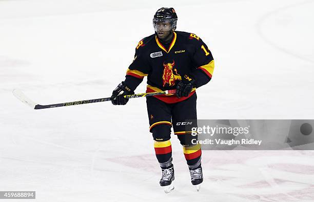 Jordan Subban of the Belleville Bulls skates during an OHL game between the Belleville Bulls and the Niagara IceDogs at the Meridian Centre on...