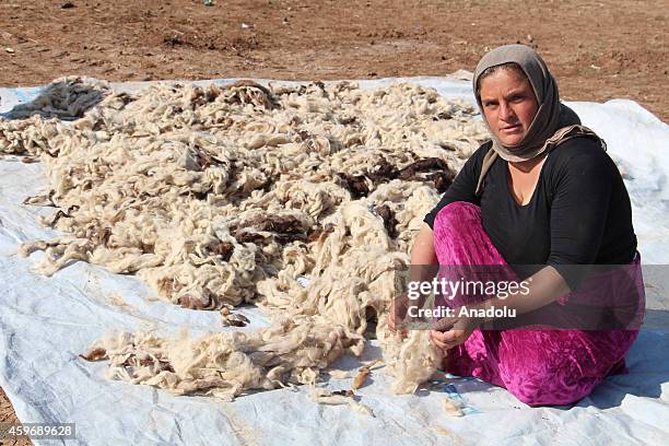 Iraqi Yezidi refugees fled their homes due to the violence of armed groups led by Islamic State of Iraq and Levant in Sinjar district of Mosul, hold...