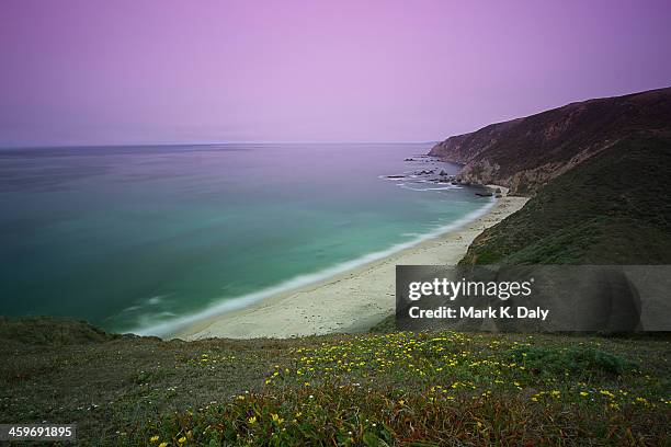 tomales point, point reyes, california - bahía tomales fotografías e imágenes de stock