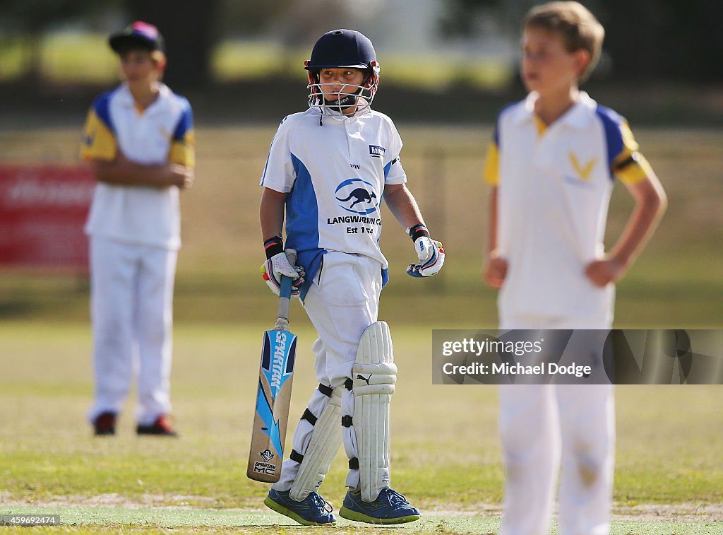 Domestic Cricket In Australia