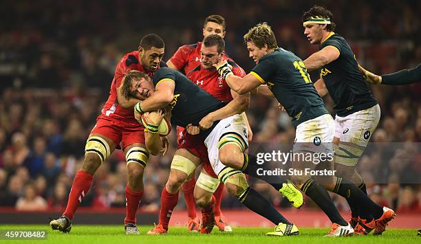 Wales players Taulupe Faletau and Sam Warburton wrap up Duane Vermeulen of South Africa during the Autumn international match between Wales and South...