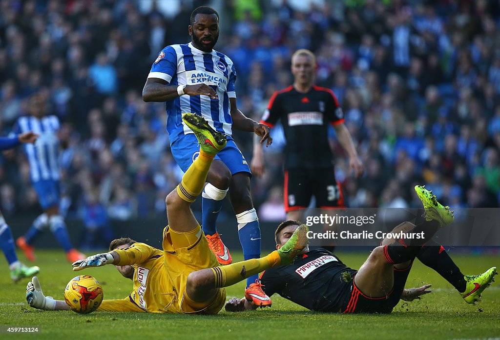 Brighton & Hove Albion v Fulham - Sky Bet Championship