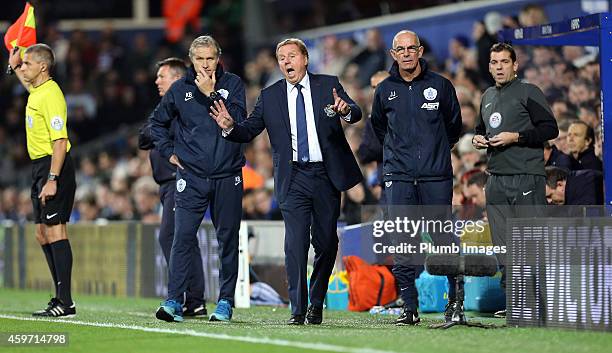 S boss Harry Redknapp during the Barclays premier League match between Queens Park Rangers and Leicester City at Loftus Road on November 29, 2014 in...