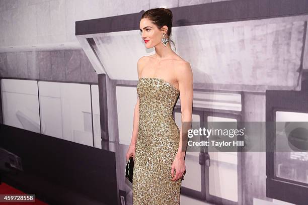 Hilary Rhoda attends The Whitney Museum Of American Art's 2014 Gala & Studio Party at The Whitney Museum of American Art on November 19, 2014 in New...