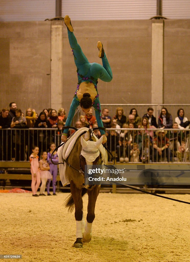 Madrid Horse Week...