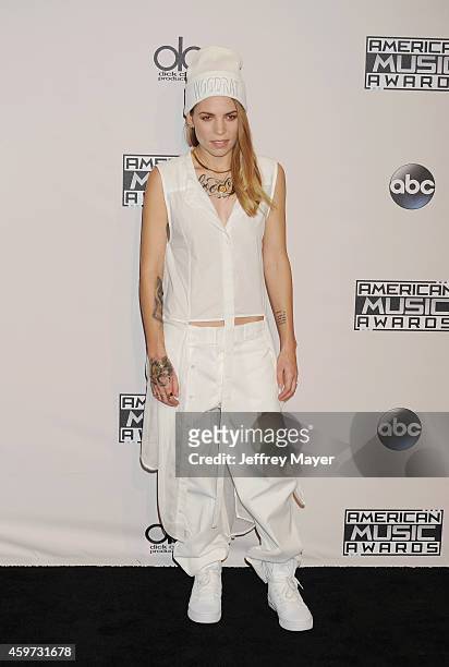 Singer-songwriter Skylar Grey poses in the press room at the 2014 American Music Awards at Nokia Theatre L.A. Live on November 23, 2014 in Los...