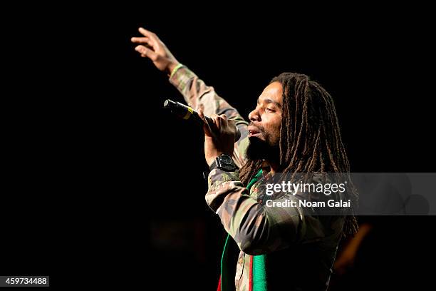 Dwayne Anglin of The Wailers performs during The Wailers 30th Anniversary Performance at The Apollo Theater on November 29, 2014 in New York City.