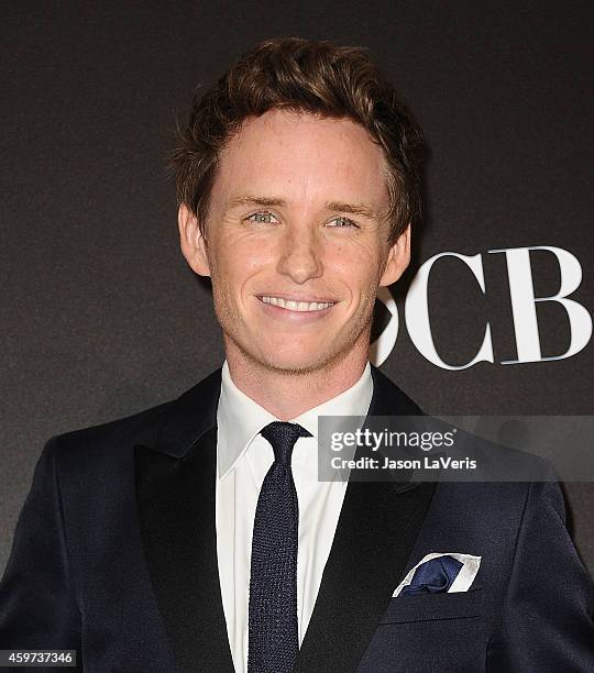 Actor Eddie Redmayne poses in the press room at the 18th annual Hollywood Film Awards at Hollywood Palladium on November 14, 2014 in Hollywood,...