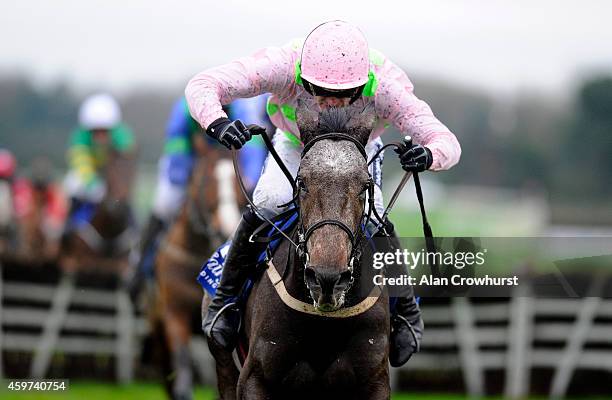 Ruby Walsh riding Kalkir clear the last to win The Bar One Racing Juvenile 3-Y-O Hurdle Race at Fairyhouse racecourse on November 30, 2014 in...