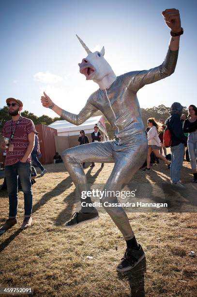 Costumed festival patron dances at Falls Festival on December 30, 2013 in Lorne, Australia.