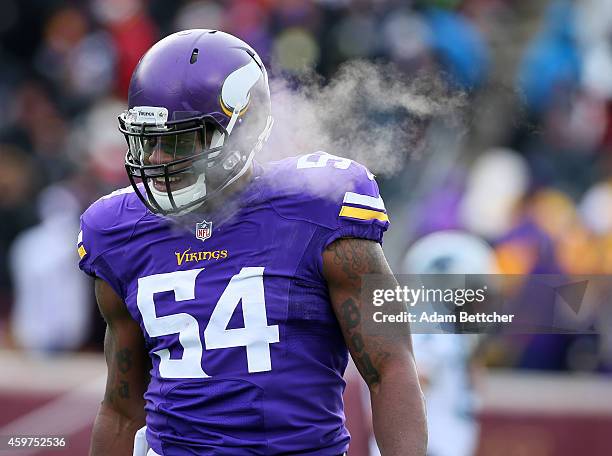 Jasper Brinkley of the Minnesota Vikings celebrates a touchdown against the Carolina Panthers in the second quarter on November 30, 2014 at TCF Bank...