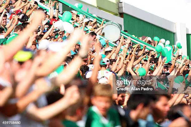 Supporters of Chapecoense cheer their team during the match between Chapecoense and Cruzeiro for the Brazilian Series A 2014 at Arena Conda Stadium...