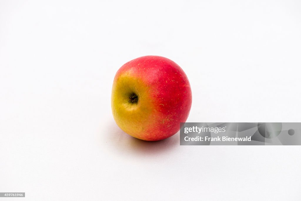 A red and yellow apple (Malus domestica), displayed on a...