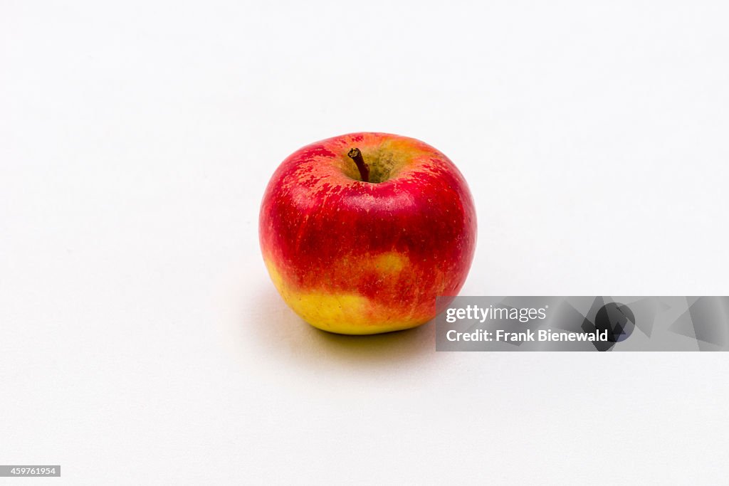 A red and yellow apple (Malus domestica), displayed on a...