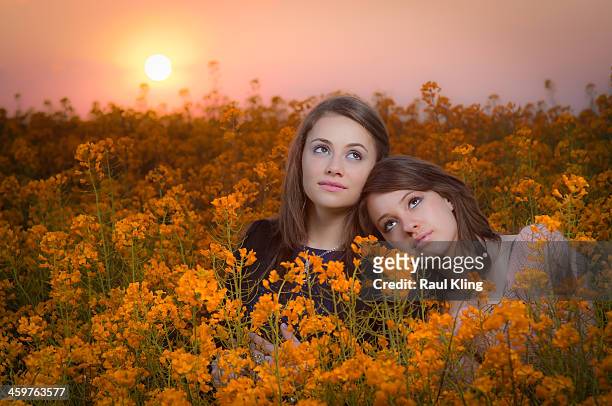 girls, friendship and flowers - arad county romania stock pictures, royalty-free photos & images