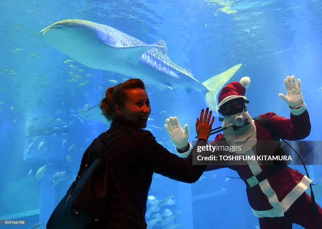 JAPAN-CHRISTMAS-AQUARIUM-SANTA