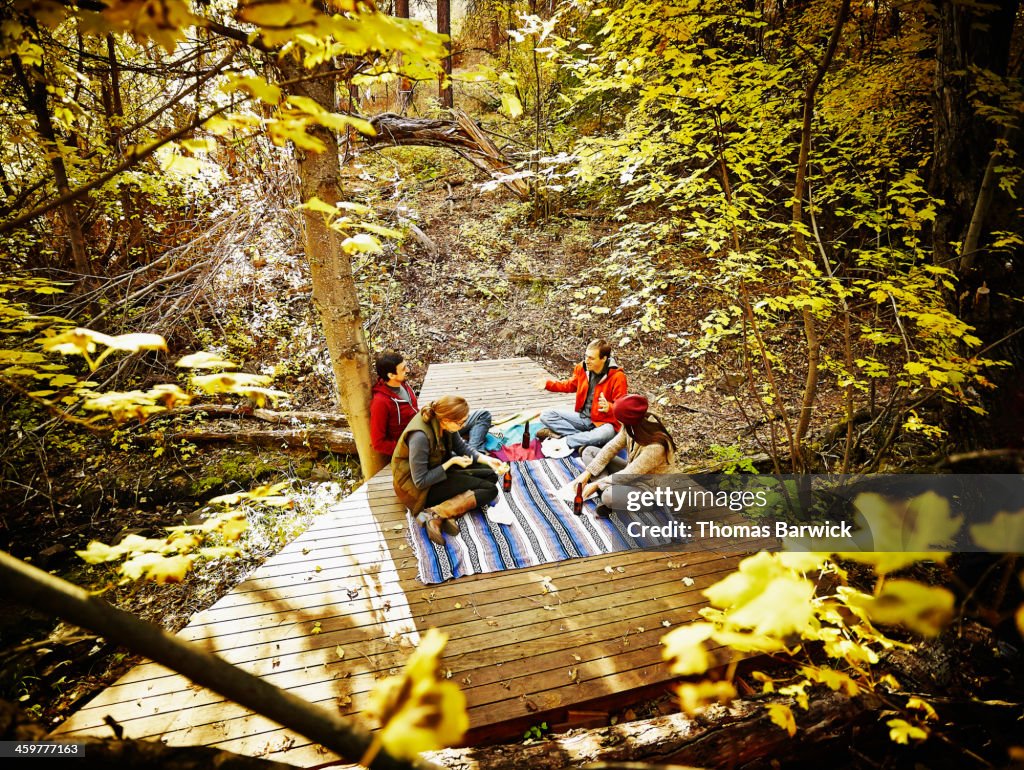 Group of friends having picnic in forest