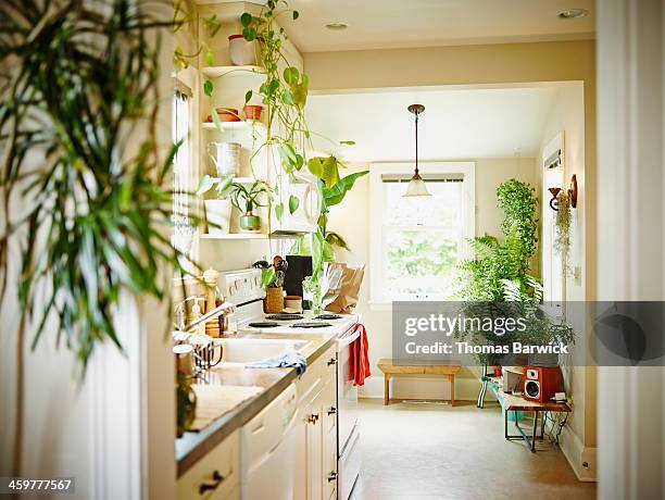 kitchen in home - kitchen no people stock pictures, royalty-free photos & images