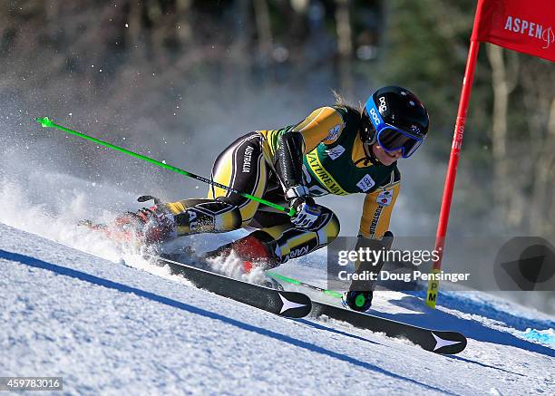 Greta Small of Australia skis in the ladies giant slalom during the 2014 Audi FIS Ski World Cup at the Nature Valley Aspen Winternational at Aspen...