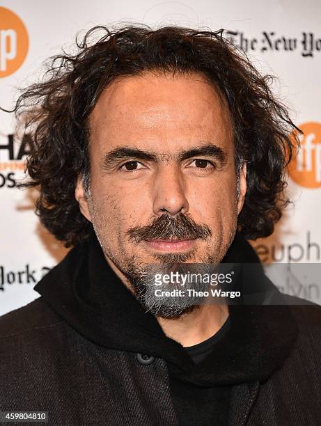 Alejandro Gonzalez Inarritu attends IFP's 24th Gotham Independent Film Awards at Cipriani, Wall Street on December 1, 2014 in New York City.