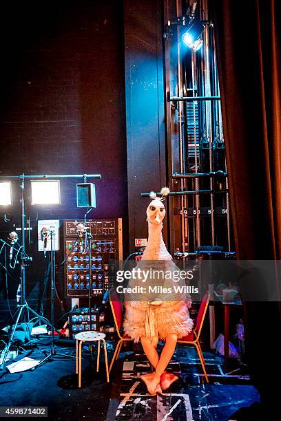 Alix Ross playing Pricilla The Goose waits stage left during a performance of Mother Goose at Hackney Empire on December 2, 2014 in London, England.