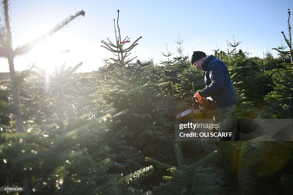 BRITAIN-LIFESTYLE-CHRISTMAS