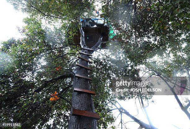 With AFP Story by Veronique DUPONT: US-Poverty-Homeless-Technology A tree house is seen at the Silicon Valley homeless encampment known as "The...