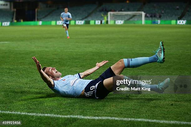 Shane Smeltz of Sydney FC celebrates scoring a goal during the round 10 A-League match between Sydney FC and Perth Glory at Allianz Stadium on...