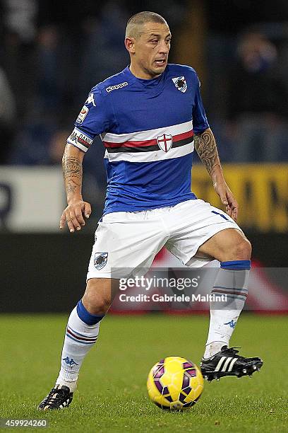 Angelo Palombo of UC Sampdoria in action during the Serie A match between UC Sampdoria and SSC Napoli at Stadio Luigi Ferraris on December 1, 2014 in...