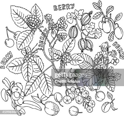 Fruit Background Fruit Background