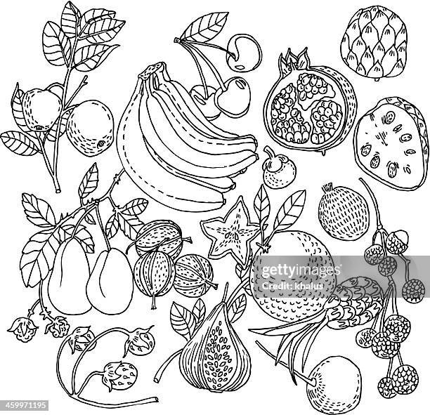 fruit background - gooseberry stock illustrations