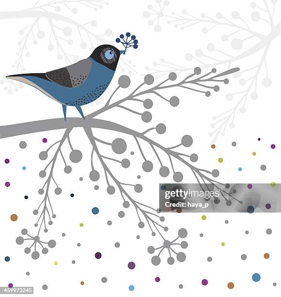 blue bird on branch - white socks stock illustrations