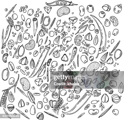 Vegetable Background Vegetable Background