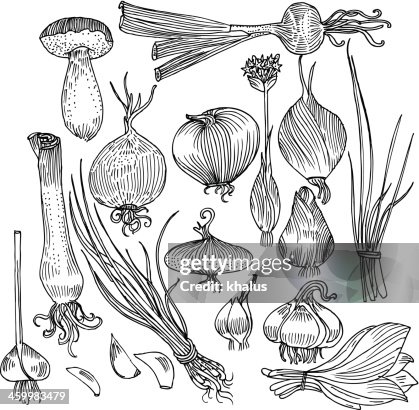 Vegetable Background Vegetable Background