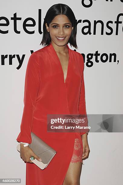 Actress Freida Pinto attends the YoungArts and MoMa PS1 reception celebrating Zero Tolerance: Miami on December 5, 2014 in Miami, Florida.