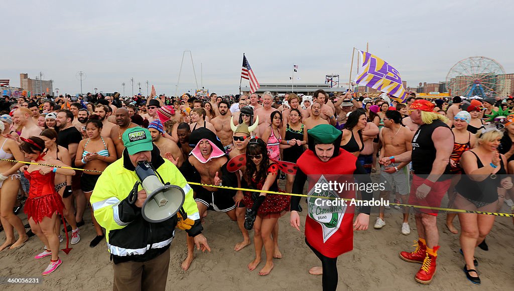 Polar Bear Dip