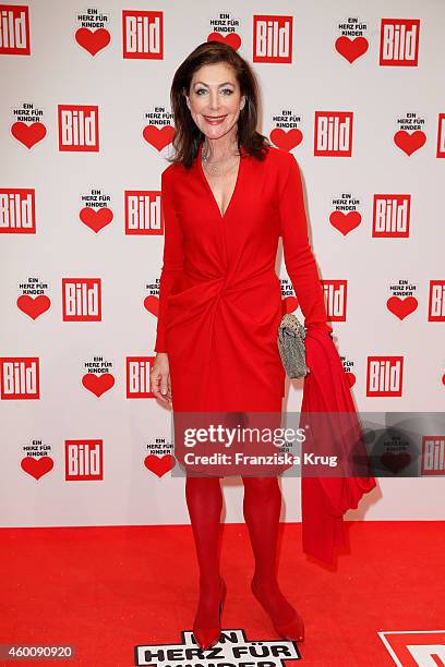 Alexandra von Rehlingen attends the Ein Herz Fuer Kinder Gala 2014 - Red Carpet Arrivals on December 6, 2014 in Berlin, Germany.